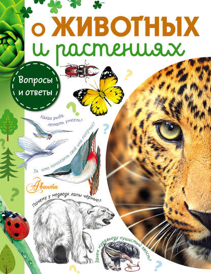 Вопросы и ответы