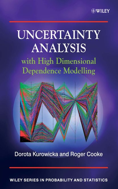 Uncertainty analysis. High and with Dimension.