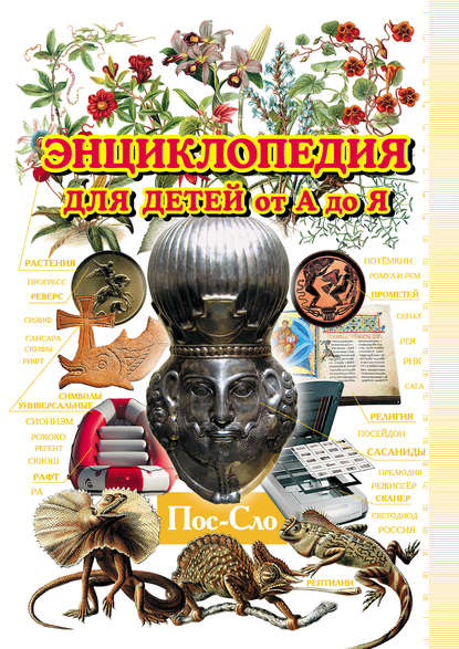 Лишних знаний не бывает