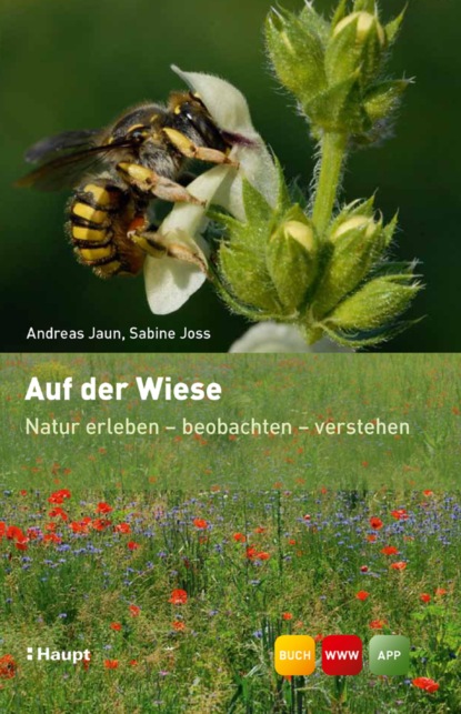 Natur erleben