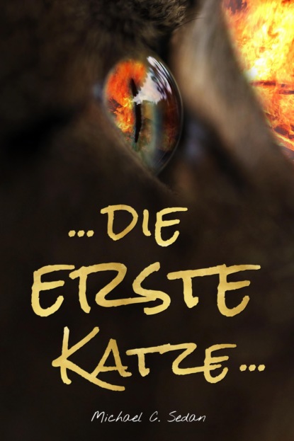 Dreimal schwarzer Kater