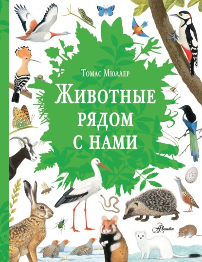 Самый красивый определитель природы