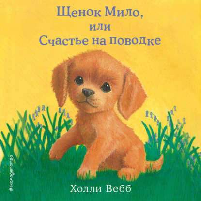 Холли Вебб. Добрые истории о зверятах. Мировой бестселлер