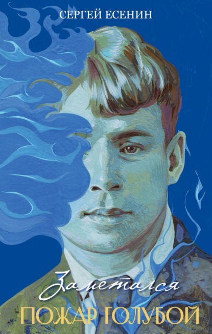 Подарочное издание. Сокровище русской поэзии