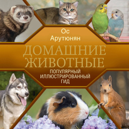 Популярный иллюстрированный гид