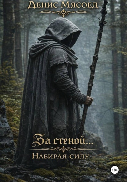 За стеной...