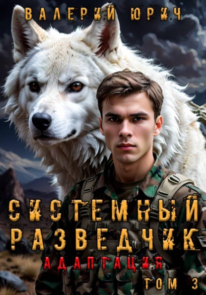 Системный разведчик