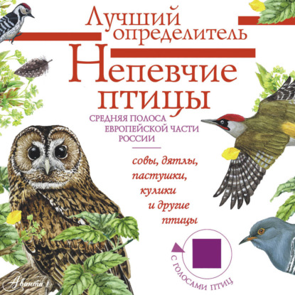 Лучший определитель