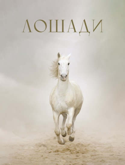 Большая подарочная книга