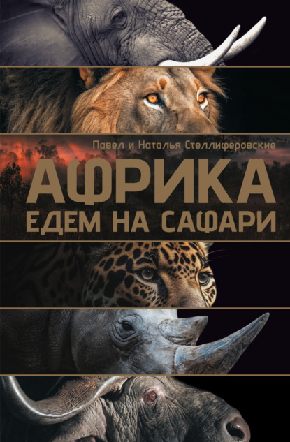 Взгляд за границу