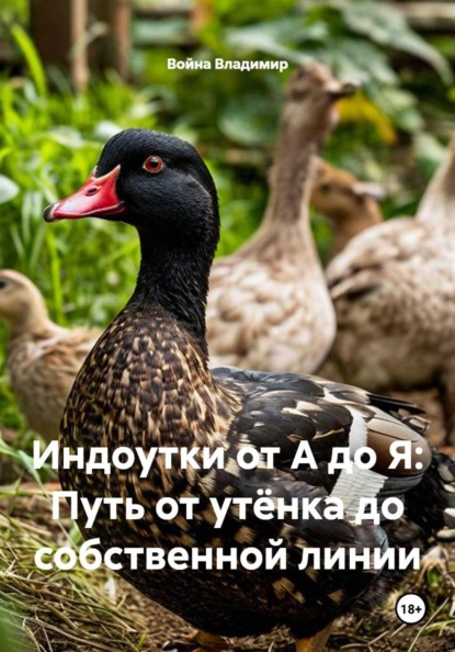 Индоутки от А до Я: Путь от утёнка до собственной линии
