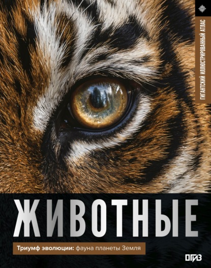 Гигантский иллюстрированный атлас (АСТ)