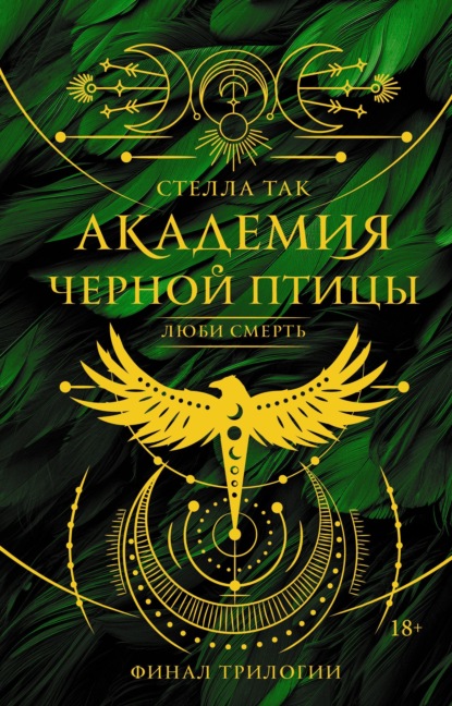 Академия Черной птицы