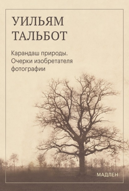 Мадлен. Мгновения с прекрасным