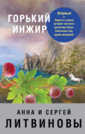 Книга Литвиновы Ремейк Нового Года Книга Литвиновы Ремейк Нового Года
