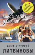 Книга Литвиновы Ремейк Нового Года Книга Литвиновы Ремейк Нового Года