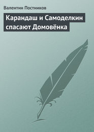 Карандаш и Самоделкин спасают Домовёнка