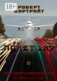 Полёт 187. Из цикла рассказов «Приготовьтесь к безумию. Приготовьтесь к боли»