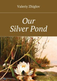 Our Silver Pond