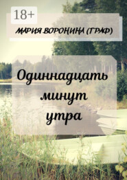 Одиннадцать минут утра