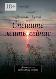 Спешите жить сейчас. Поэтическое осмысление жизни