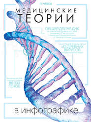 Медицинские теории в инфографике