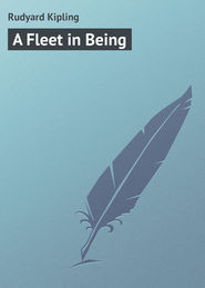 A Fleet in Being