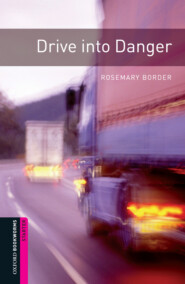 Drive into Danger