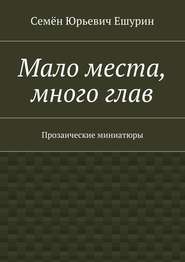 Мало места, много глав. Прозаические миниатюры