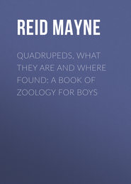 Quadrupeds, What They Are and Where Found: A Book of Zoology for Boys