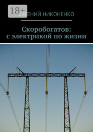 Скоробогатов: с электрикой по жизни