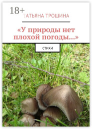 «У природы нет плохой погоды…». Стихи