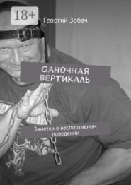 Саночная вертикаль. Заметки о неспортивном поведении