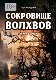 Сокровище волхвов. Роман-фэнтези