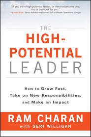 The High-Potential Leader. How to Grow Fast, Take on New Responsibilities, and Make an Impact