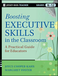 Boosting Executive Skills in the Classroom. A Practical Guide for Educators