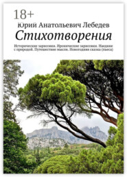 Стихотворения. Исторические зарисовки. Иронические зарисовки. Наедине с природой. Путешествие мысли. Новогодняя сказка (пьеса)