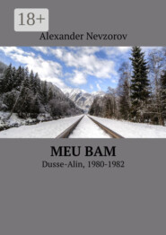 Meu BAM. Dusse-Alin, 1980-1982