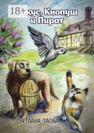 Рокус, Кнопуш и Пират