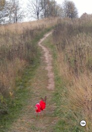 Проект «Анджела»