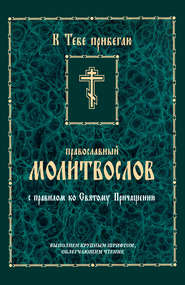 К тебе прибегаю. Православный молитвослов с правилом ко Святому Причащению