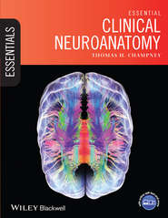 Essential Clinical Neuroanatomy