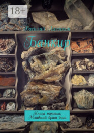 Банкир. Книга третья: Младший брат бога