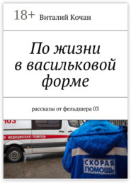 По жизни в васильковой форме. Рассказы от фельдшера 03
