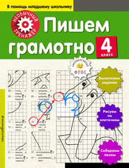 Пишем грамотно. 4-й класс