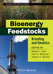 Bioenergy Feedstocks. Breeding and Genetics