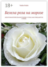 Белела роза на морозе. Или романтическая история о том, как рождаются стихи