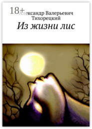 Из жизни лис