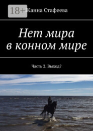 Нет мира в конном мире. Часть 2. Выход?