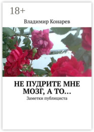 Не пудрите мне мозг, а то… Заметки публициста